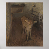A Jersey Calf Poster (Vorne)
