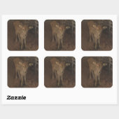 A Jersey Calf Quadratischer Aufkleber (Blatt)