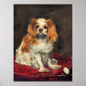 A King Charles Spaniel, schöne Kunst Poster (Vorne)