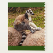 a lemur of Madagascar on planner Planer (Rückseite)