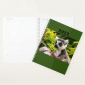 a lemur of Madagascar on planner Planer (Anzeige)