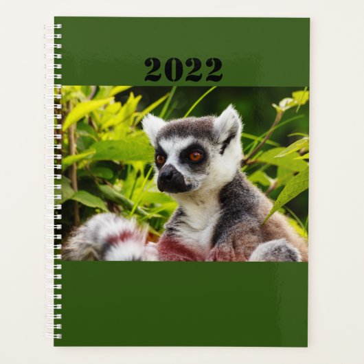 a lemur of Madagascar on planner Planer (Vorderseite)