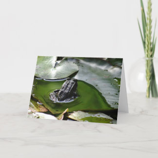 a Little Green Frog Greeting Card Karte