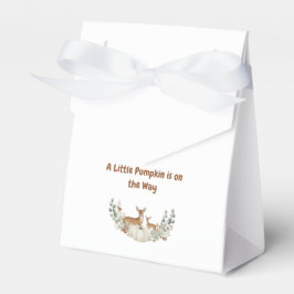 A Little Pumpkin is on the Way" Baby Bib Geschenkschachtel