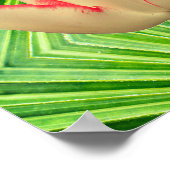 A magic tulip poster (Ecke)