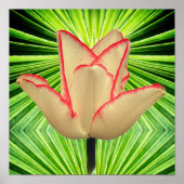A magic tulip poster (Vorne)