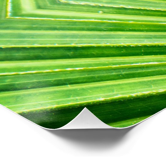 A magic tulip poster (Ecke)