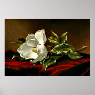 A Magnolia on Red Velvet Poster
