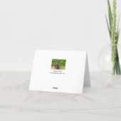 A Mallard Duck and her Duckling Greeting card Karte (Rückseite)