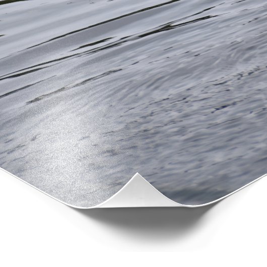 A Mallard duck flapping her wings. Fotodruck (Ecke)