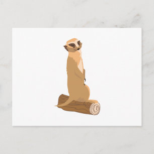 A Meerkat Postkarte