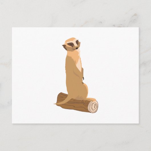 A Meerkat Postkarte (Vorderseite)