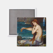 A Mermaid, c. 1900 by John Waterhouse Magnet (Vorderseite/Rückseite)