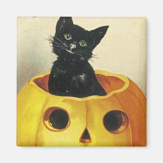 A Merry Haloween Kitten Magnet (Vorne)