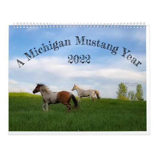 A Michigan Mustang Year Kalender (Titelbild)