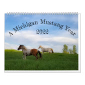 A Michigan Mustang Year Kalender (Titelbild)