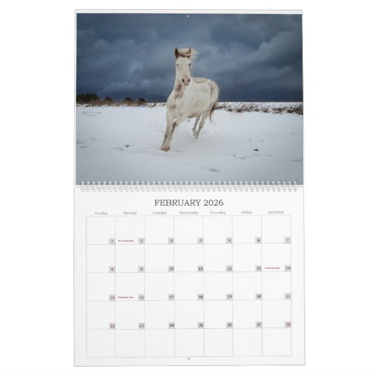 A Michigan Mustang Year Kalender (Feb 2026)