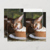 A Moment of Sweet Stillness – Art Postcard Postkarte (Vorne/Hinten)