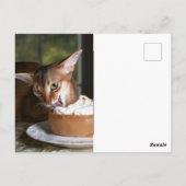 A Moment of Sweet Stillness – Art Postcard Postkarte (Rückseite)