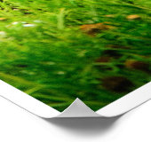 A Mother’s Kiss Poster (Ecke)