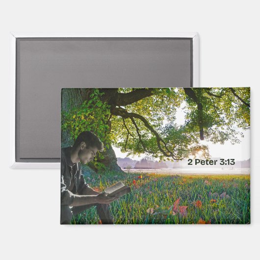 A New World Magnet (Vorderseite/Rückseite)