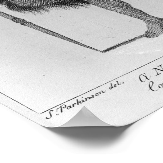 A New Zealand warrior Poster (Ecke)