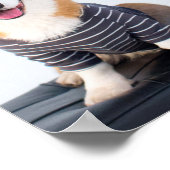 A Pair Of Corgis Sitting On A Bench Poster (Ecke)
