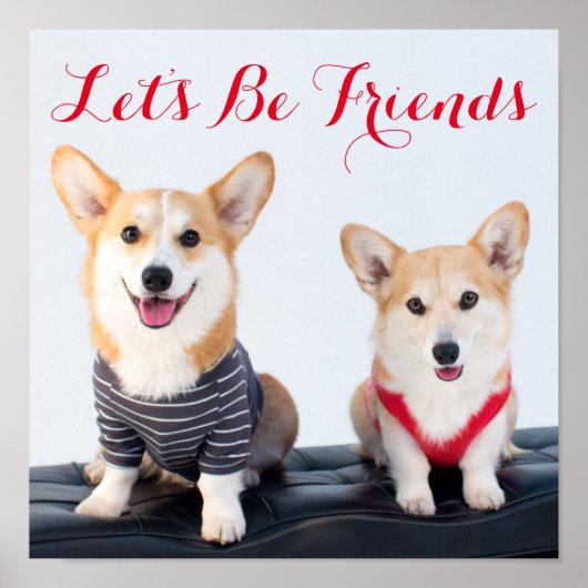 A Pair Of Corgis Sitting On A Bench Poster (Vorne)