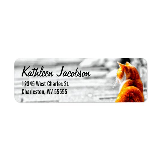 A-PAL abgetönte orange Tabby-Katzen-Malerei