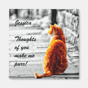 A-PAL abgetönte orange Tabby-Katzen-Malerei Magnet