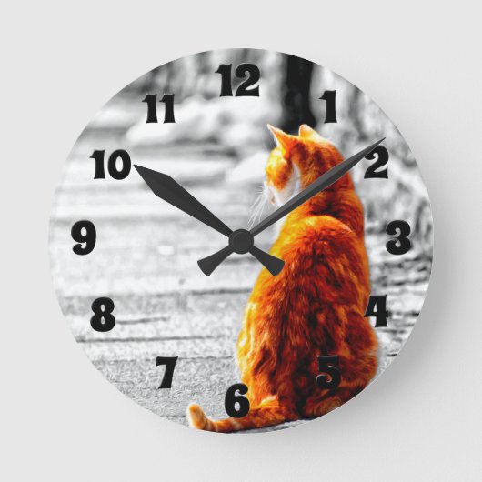 A-PAL abgetönte orange Tabby-Katzen-Malerei Runde Wanduhr (Vorderseite)