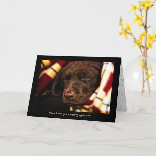 A-PAL -Labrador Retriever Puppy | Brunnen-Karte Karte (Gelbe Blume)