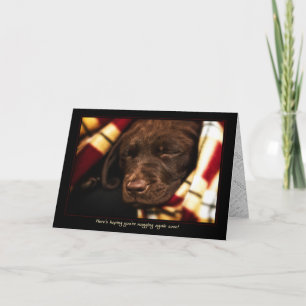 A-PAL -Labrador Retriever Puppy   Get Well Card Karte