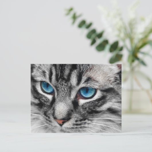 A-PAL - Silbertablette Katze mit blauen Augen Nah Postkarte (Stehend Vorderseite)
