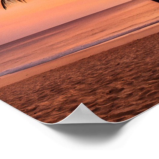 A palm tree stands alone on the beach at sunset poster (Ecke)