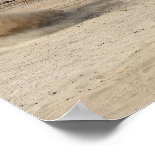 A pararescueman drops into the zone poster (Ecke)