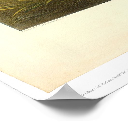 A Parley: Vorbereitung auf einen Notfall (1304A) Poster (Ecke)