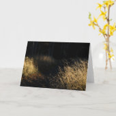 A path through a forest golden grass in sunlight karte (Gelbe Blume)