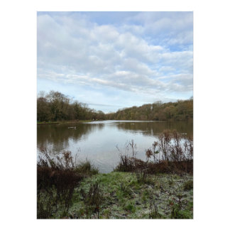 A peacful lake.. fotodruck