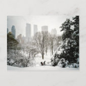 A Pedicab in Central Park During Winter Postkarte (Vorderseite)