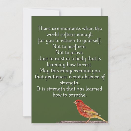 A Place to Exhale (Rückseite)