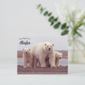 A Polar Bear Mother With Her Cubs in Alaska Postkarte (Stehend Vorderseite)