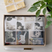 A Pretty Mix of White and Black Cats & Kittens Seidenpapier (Geschenk)