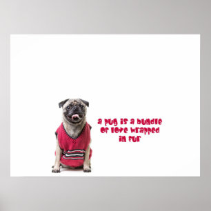 A Pug Is A Bundle Of Love Wrapped In Fur Poster