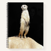 A Quirky Meerkat - Notebook Notizblock (Vorderseite)