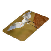 A Rinder (Bubulcus Ibis) Magnet (Linke Seite)