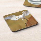 A Rinder (Bubulcus Ibis) Untersetzer (Linke Seite)
