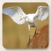A Rinder (Bubulcus Ibis) Untersetzer (Vorderseite)