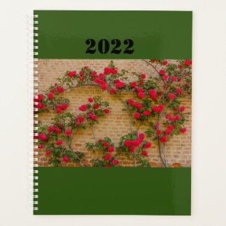 a roses climb on a brick wall on planner planer
