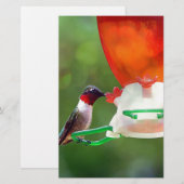 A Ruby Throated Hummingbird Briefpapier (Vorne/Hinten)